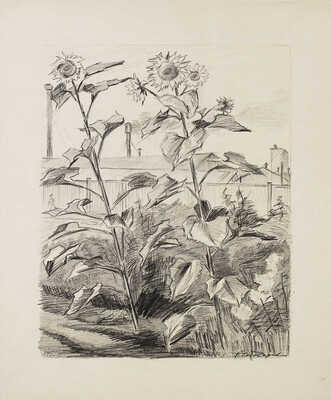 Чеботарёв Константин Константинович. Радостные подсолнухи 